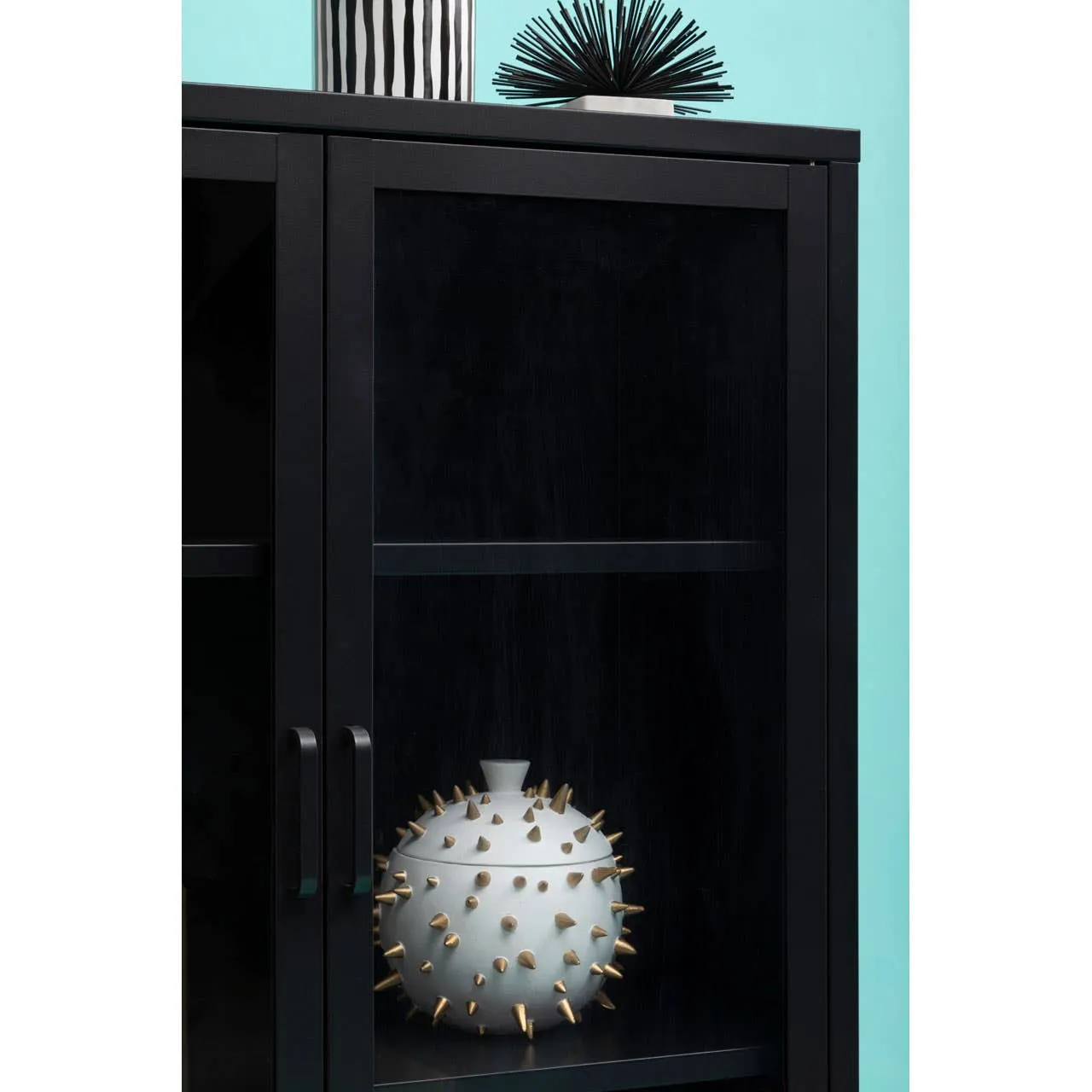 Acier Two Door Black Cabinet With Shelf