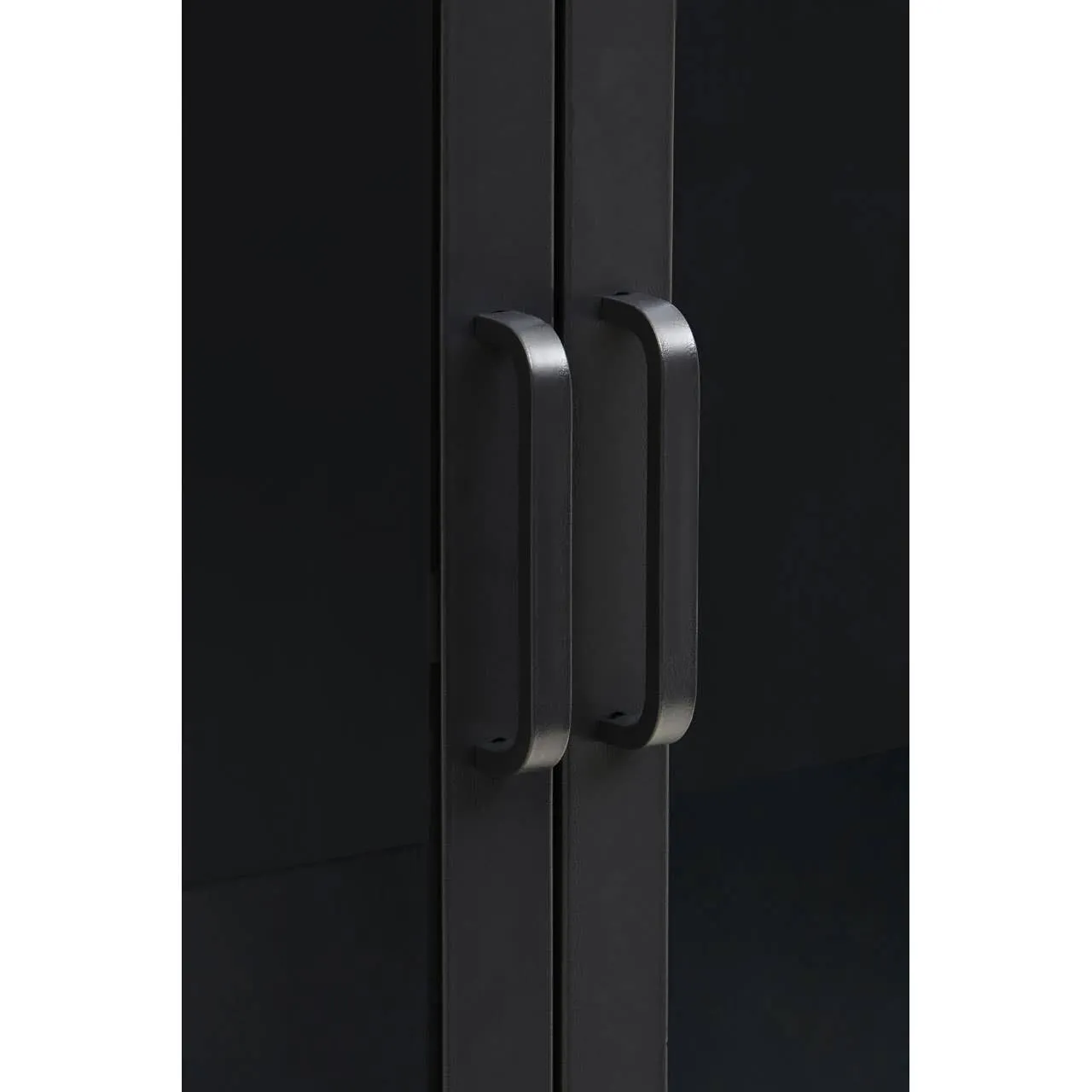 Acier Two Door Black Cabinet With Shelf