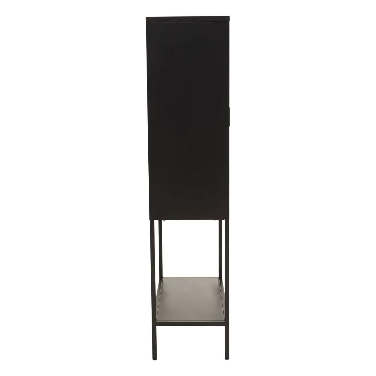 Acier Two Door Black Cabinet With Shelf