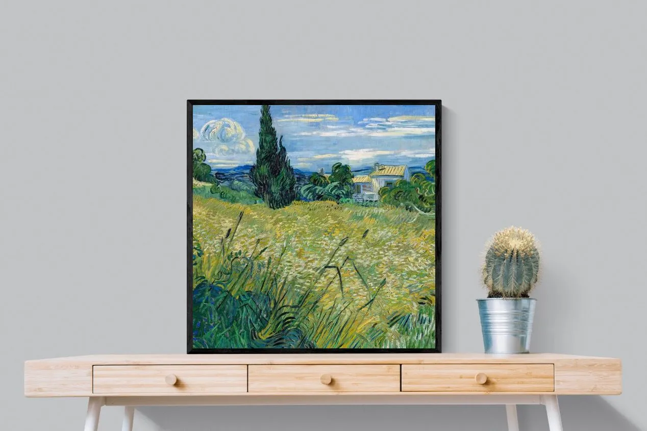 Green Wheat Field with Cypress