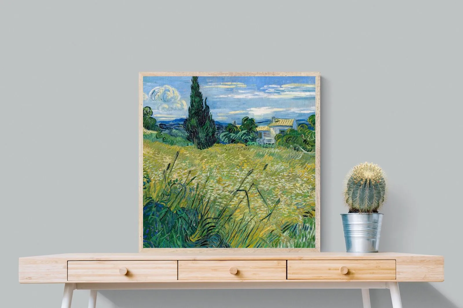 Green Wheat Field with Cypress