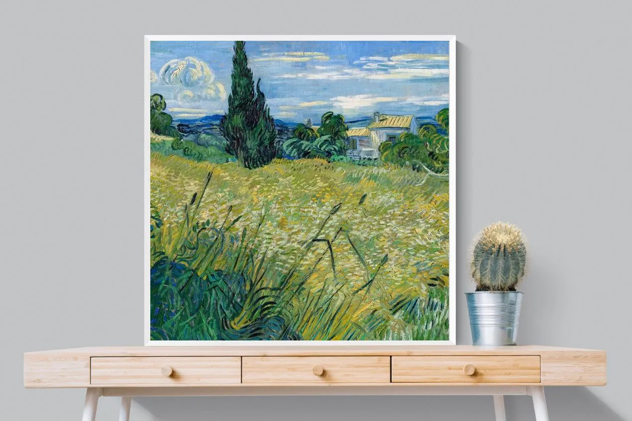 Green Wheat Field with Cypress