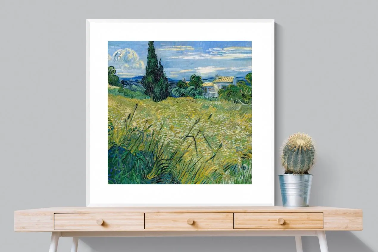 Green Wheat Field with Cypress