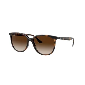 Stylish Havana RB4378 Polarized Sunglasses in Tortoiseshell Design