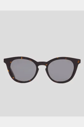 Sito now or never iron grey polarized - havana